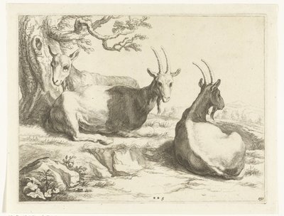 cabras Cuaderno de dibujo de Abraham Bloemaert (título de la serie) de Frederick Bloemaert