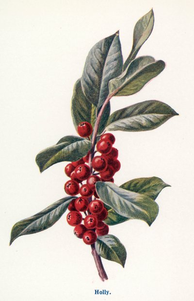  de Frederick Edward Hulme