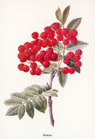  de Frederick Edward Hulme