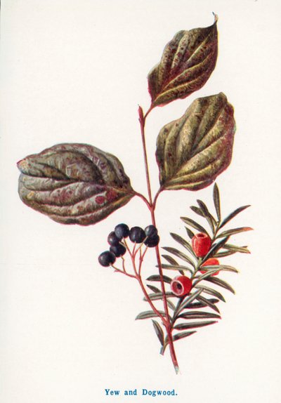  de Frederick Edward Hulme