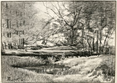 Piscina en los Adirondacks de Frederick Eugene Bartlett