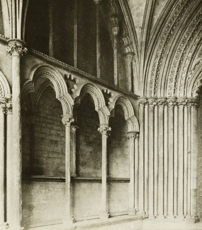 Catedral de Ely: Pórtico de Galilea, detalles de Frederick H. Evans