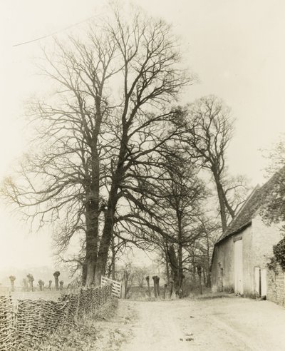 Mansión Kelmscott: Camino y entrada de Frederick H. Evans