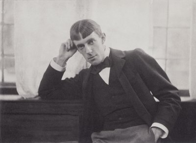 Retrato fotográfico de Aubrey Beardsley (1872-98) por Frederick Evans (1853-1943) de Frederick Henry Evans