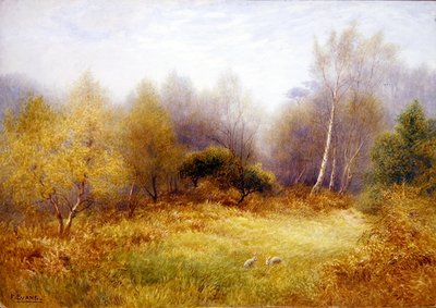 Conejos en un claro del bosque de Frederick Henry Evans