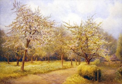 Árboles en Flor de Frederick Henry Evans