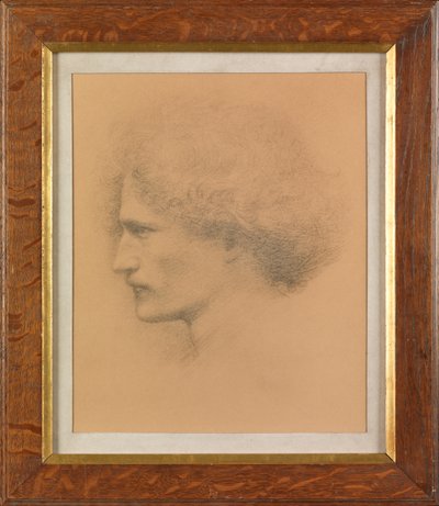 Ignacy Jan Paderewski de Frederick Hollyer