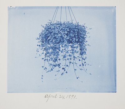 Sin título, 24 de abril de Frederick K. Coulson