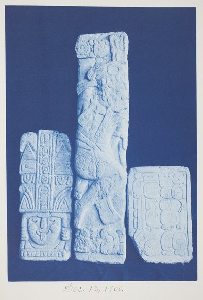 Sin título, 12 de diciembre de Frederick K. Coulson