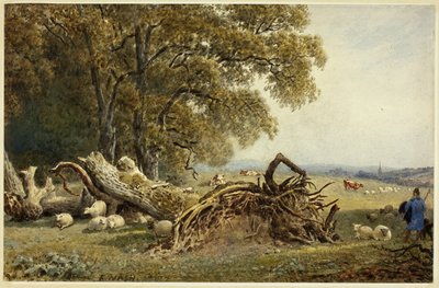 Ovejas, vacas y pastor junto a un árbol arrancado de Frederick Nash