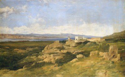 Residencia del General Garibaldi en Caprera, 1865 de Frederick Richard Lee