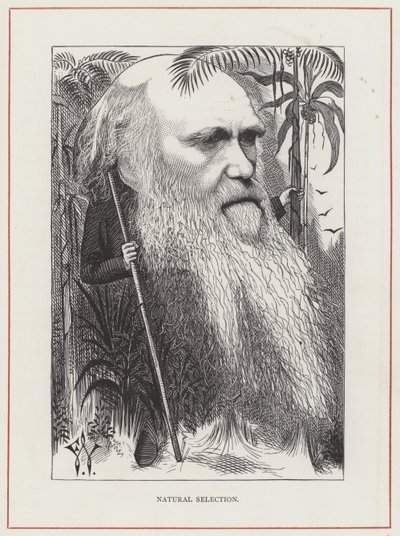 Charles Darwin, Selección Natural de Frederick Waddy