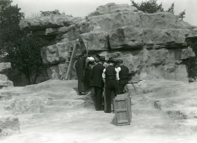 Un grupo de cuidadores desempacando babuinos sagrados entre las rocas de 
