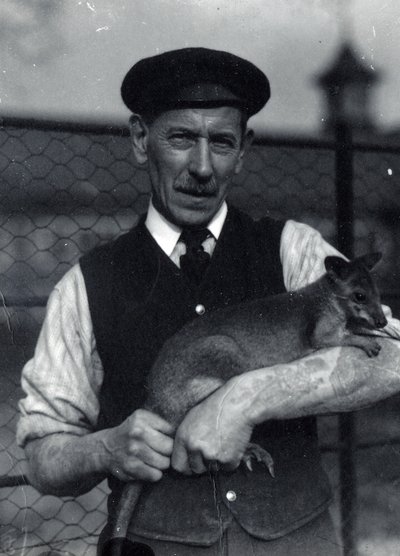 Un cuidador sostiene un wallaby, octubre de 1920 de Frederick William Bond