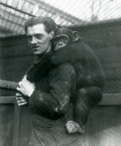 Un hombre lleva a la chimpancé Sally en su espalda, Zoológico de Londres, 1924 de Frederick William Bond