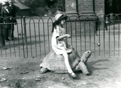 Una niña pequeña, Betty, sostiene un palo con una manzana en el extremo para guiar a la tortuga gigante que está montando, Zoológico de Londres, 1924 de Frederick William Bond