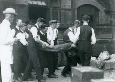 Un equipo de hombres lleva un caimán bajo la supervisión de Sir Peter Chalmers Mitchell, zoológico de Londres, 1924 de Frederick William Bond