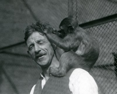 Un joven mono acicalando el cabello del cuidador Flewin, Zoológico de Londres 1928 de Frederick William Bond