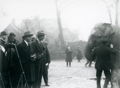 Un elefante indio, posiblemente Sundermalah, participando en una transmisión exterior desde el Zoológico de Londres, 1925 de Frederick William Bond