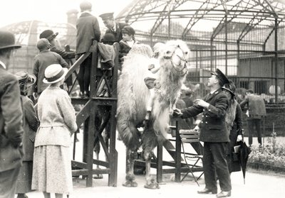 Montando en camello con el cuidador H. Warwick de Frederick William Bond