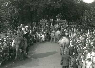 Paseos en Elefante, con tres elefantes asiáticos observados por multitudes de espectadores en el Zoológico de Londres en agosto de 1926 de Frederick William Bond
