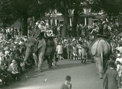 Paseos en Elefante, con dos elefantes asiáticos observados por multitudes de espectadores en el Zoológico de Londres en agosto de 1926 de Frederick William Bond