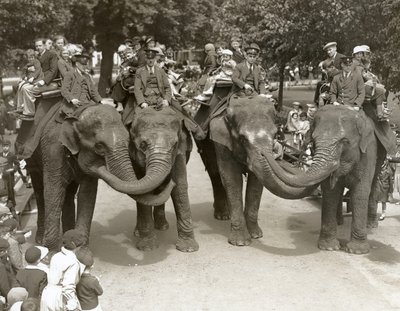 Paseos en elefante en el Zoológico de Londres, julio de 1936 de Frederick William Bond