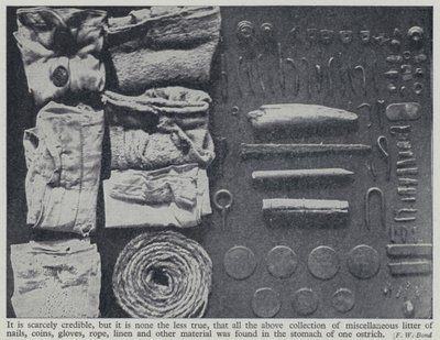 Objetos encontrados en el estómago de un avestruz de Frederick William Bond