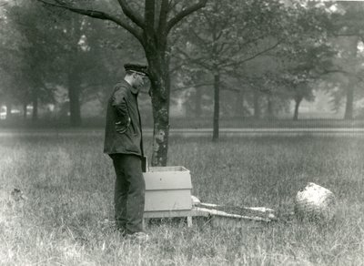 El cuidador Brown moviendo un enjambre de abejas, Zoológico de Londres, julio de 1926 de Frederick William Bond
