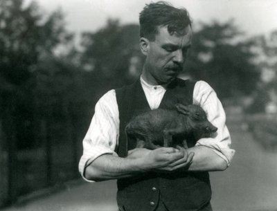 El guardián Harry Warwick sostiene un bebé Jabalí en sus brazos en el Zoológico de Londres, agosto 1922 de Frederick William Bond