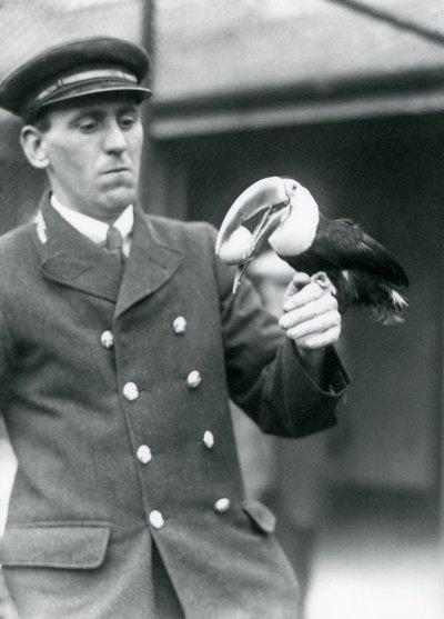 El cuidador, Thomas Raggett, sosteniendo un tucán de pico rojo con un huevo en la boca en el Zoológico de Londres en 1924 de Frederick William Bond