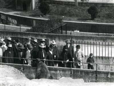 Sir Peter Chalmers Mitchell, con el regente etíope Haile Selassie y su séquito, viendo un oso pardo en las terrazas de Mappin, zoológico de Londres, 1924 de Frederick William Bond