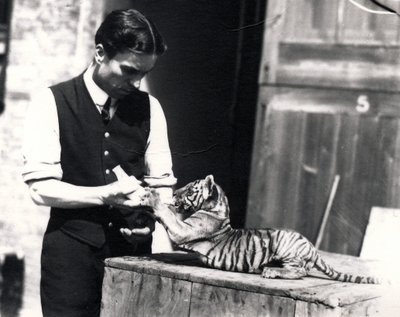 Cachorro de tigre siendo alimentado por el cuidador Harry Warwick, 1914 de Frederick William Bond