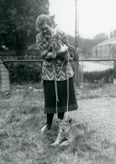 Dos cachorros de león con una joven en el Zoológico de Londres en agosto de 1925 de Frederick William Bond