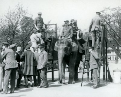 Visitantes haciendo fila para un paseo en elefante mientras otros embarcan, con la ayuda de cinco cuidadores, Zoológico de Londres, 1927 de Frederick William Bond