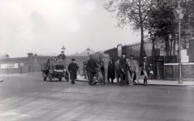 Caminando un par de elefantes desde los muelles en 1923 al Zoológico de Londres, la última vez que esto se hizo de Frederick William Bond