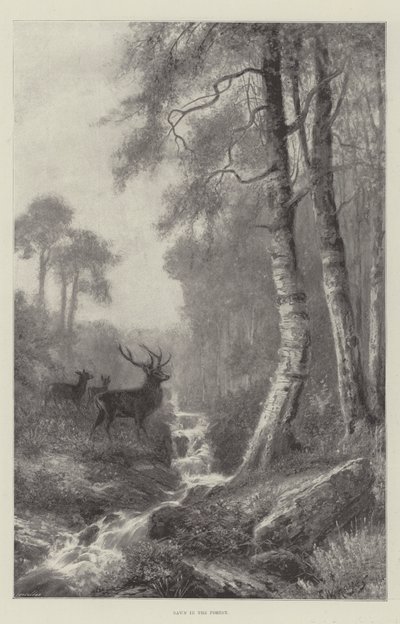 Amanecer en el bosque de Frederick William Hayes
