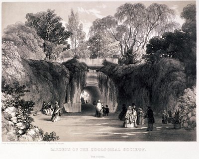 Jardines Zoológicos, Regent