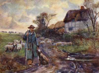 Beggarly Broom de Frederick William Newton Whitehead