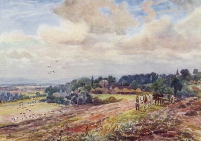Hungry Grafton de Frederick William Newton Whitehead
