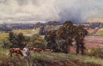 Leamington y Warwick desde las Colinas Campion de Frederick William Newton Whitehead