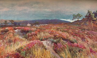 En el páramo Lytchett Minster, c. 1904 de Frederick William Newton Whitehead