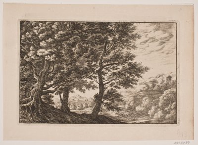 Paisaje montañoso con grandes árboles de Frederik Laub