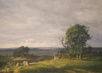 Paisaje de la región de Esrom de Frederik Rohde