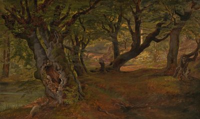 Vista del bosque de Bregentved, Sjaeeland, mediados de 1830 de Frederik Sødring