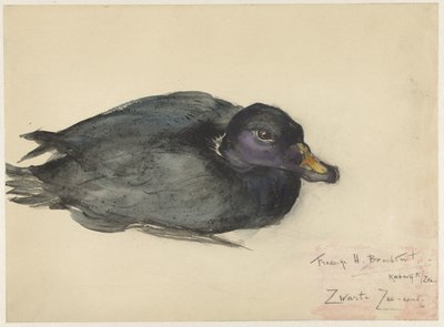 Pato negro de mar de Frederika Henriëtte Broeksmit