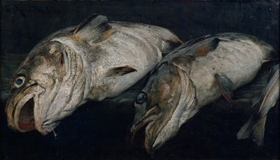Bacalao de Fredrik Kolstoe