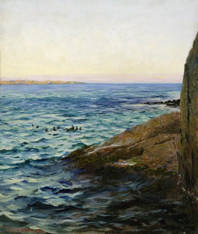 Tarde de verano de Fredrik Kolstoe