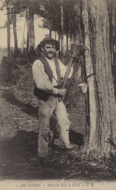 Arcachon, Resinero en el bosque de French Photographer