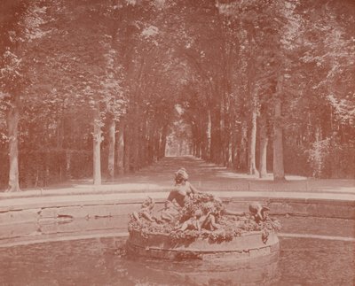 Fuente de Flora, Parque de Versalles de French Photographer